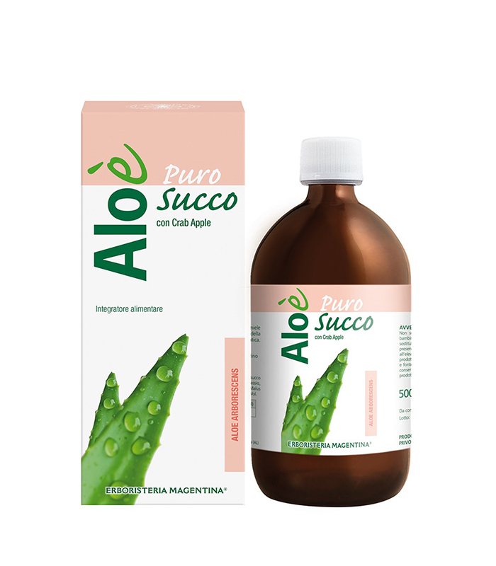 aloe-arborescens